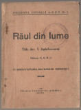 Ion Agarbiceanu - Raul din lume