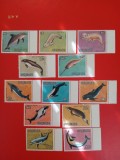 INSULELE COOK, DELFINI - SERIE COMPLETĂ MNH