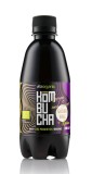 Kombucha Bio Lamaie si Ghimbir 330ml Vita Organic - Bautura Naturala cu Stevia