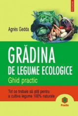 Gradina de legume ecologice foto