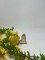 Foto  - 1