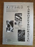 Atlas Carbopetrografic - Cornelia Panaitescu, 1999, stare buna / R8P5F