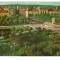 CPIB 18332 CARTE POSTALA - ORADEA. PIATA 23 AUGUST