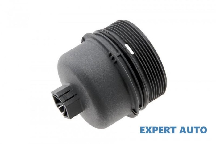 Capac filtru ulei Fiat Doblo (2001-&gt;) [119] #1