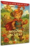 Motanul &icirc;ncălțat - Paperback brosat - Charles Perrault - Neverland