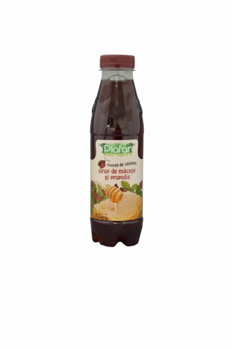 SIROP MACESE SI PROPOLIS 500ML