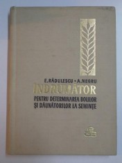 INDRUMATOR PENTRU DETERMINAREA BOLILOR SI DAUNATORILOR LA SEMINTE de E. RADULESCU , A. NEGRU foto