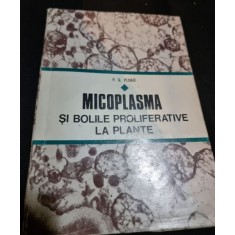 P. G. Ploaie - Micoplasma si Bolile Proliferative la Plante