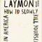How to Slowly Kill Yourself and Others in America: Essays