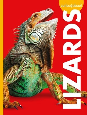 Curious about Lizards foto