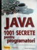 Java 1001 secrete pentru programatori- Mark C.Chan, Steven W.Griffith, Anthony F.Iasi