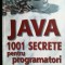 Java 1001 secrete pentru programatori- Mark C.Chan, Steven W.Griffith, Anthony F.Iasi