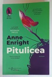PITULICEA, roman de ANNE ENRIGHT , 2024