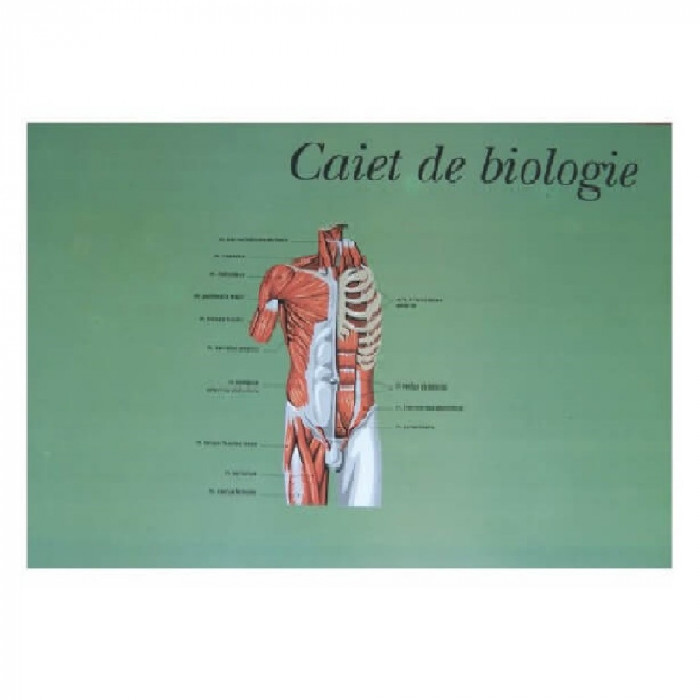 Caiet Biologie Format A4, 24 File, Dictando + Veline - Tip Special de Caiet Scolar