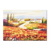 Tablou peisaj cu maci si case pictat manual, 70x50cm ulei pe panza in cutit, superb