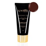 Cumpara ieftin Polygel REVOMAX GEL LUXORISE Caramel Cider, 15ml