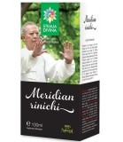 Tinctura Meridian Rinichi Santo Raphael 100ml