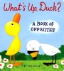 What&#039;s Up, Duck?: A Book of Opposites