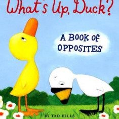 What's Up, Duck?: A Book of Opposites