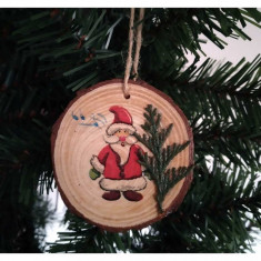 Set 6 decoratiuni cu imagini de Craciun si crenguta de tuia