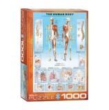 Cumpara ieftin Puzzle Eurographics - Human body, 1000 piese