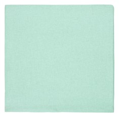 Față de Pernă Decorativă, Verde Menta, 40x40cm, Poliester, Două Fețe, Cu Fermoar