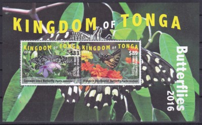 DB1 Tonga Fluturi 2016 MS MNH foto