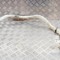 G&acirc;t de umplere rezervor lichid de parbriz BMW 7 F01, F02 2012 OEM: 7237777 11751165
