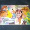 LUDOVIC ROMAN - AVENTURILE FARFURIEI ZBURATOARE 2 VOL CLUBUL TEMERARILOR