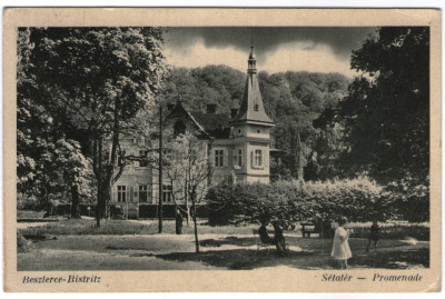 1943 - Bistrița, Promenada (jud. Bistrița-Năsăud) foto