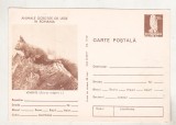 bnk cp Animale ocrotite - Veverite - cp necirculata marca fixa