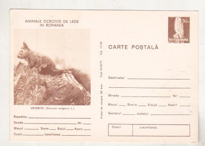 bnk cp Animale ocrotite - Veverite - cp necirculata marca fixa foto