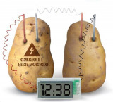 D Novel Kit de experimente cu ceas digital pentru cartofi LCD, Green Science Pro