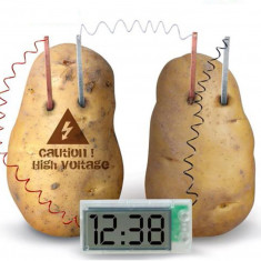D Novel Kit de experimente cu ceas digital pentru cartofi LCD, Green Science Pro