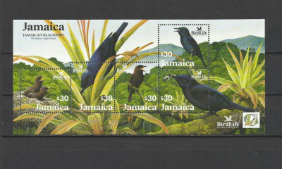 JAMAICA 2003 FAUNA PASARI BIRDLIFE foto