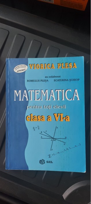 MATEMATICA PENTRU TOTI ELEVII CLASA A VI A ROMULUS PLESA ECATERINA SCHIOP , GIL