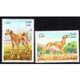 ALGERIA 1983 FAUNA ANIMALE DOMESTICE CAINI