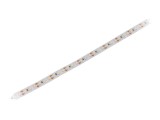 Bandă LED alb rece 12V 120 LED/m IP20