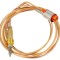 Termocupla plita Bosch PPP6A6B90 /01
