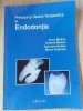Principii si decizii terapeutice in endodontie- Anca Melian, Gabriel Melian