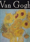 Viorica Guy Marica - Van Gogh