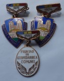 ROMANIA - LOT 3 INSIGNE FRUNTAS IN GOSPODARIREA: ORASULUI 1970+1974 + COMUNEI 1982, IM 1.265