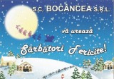 Romania, S.C. Bocancea S.R.L., calendar de buzunar, 2009