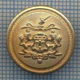 AX 1184 NASTURE METALIC - HERALDICA INTERESANTA -PENTRU COLECTIONARI