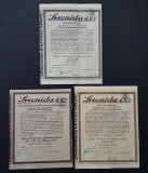 Lot 3 actiuni de la soc. Leonida &amp; Co , Automobile , titlu , actiune