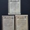 Lot 3 actiuni de la soc. Leonida &amp; Co , Automobile , titlu , actiune