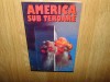 AMERICA SUB TEROARE ANUL 2001