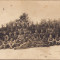 HST P726 Poză militari austro-ungari Primul Război Mondial