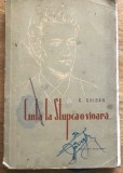 DVP RPR1 Cata la stupca o vioara - G. Ghiban