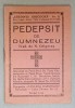 Pedeapsa Divina - Toma Gherasimescu, Vasile Ionescu (1938), Colectia Credinta Ortodoxa, Nr. 31, Crestinism